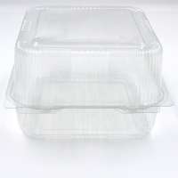 Large airtight clear plastic food vegetable container box